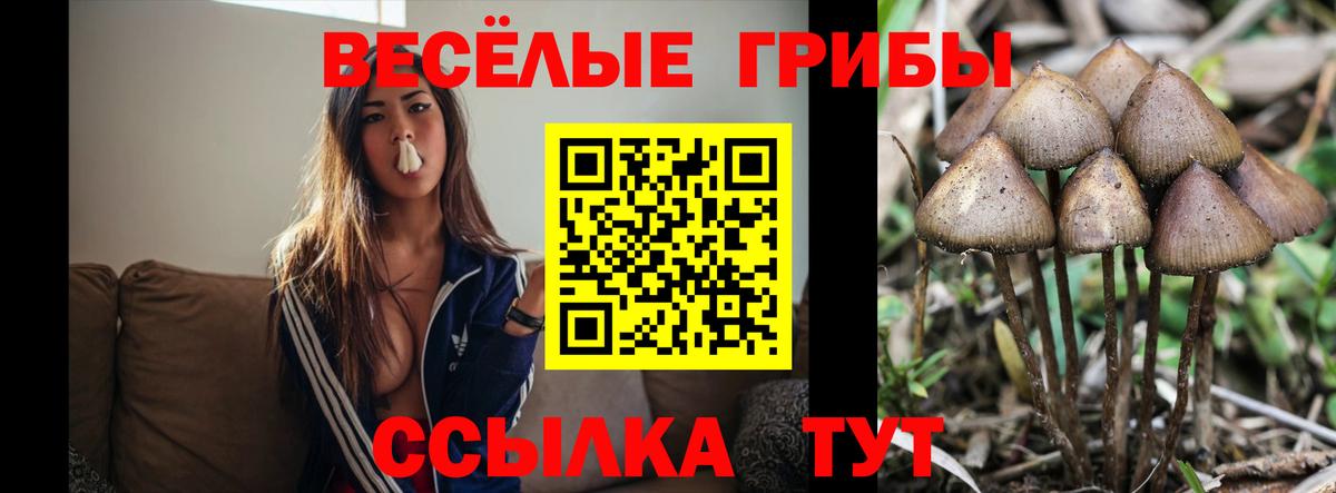 Галлюциногенные грибы мухоморы  Вход с VPN  где продают   Галлюциногенные грибы GOLDEN TEACHER  Россошь 