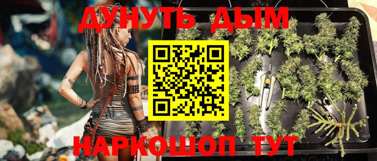 МАРИХУАНА OG Kush  Конопля THC 21%  Россошь  Каннабис VHQ  Вход с VPN 